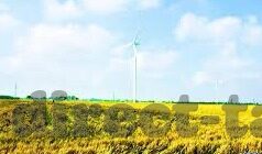 91麻豆精品国产自产在线91-探索国产自产影视——91麻豆精品为何备受关注