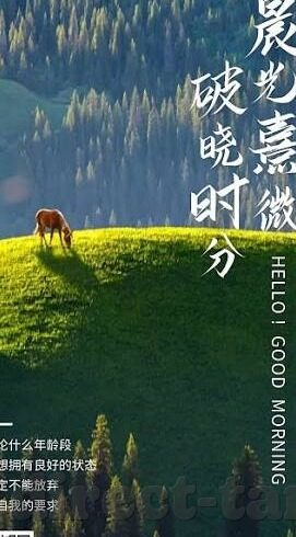 超碰在线成人公开免费视频-超碰在线成人公开免费视频，网络时代的灰色地带与道德边界