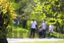 大象传媒下载免费-免费大象传媒下载，数字时代的文化传播新视角
