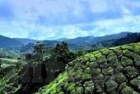 日韩av1314成一人电影-探索成人娱乐的边界，日韩AV1314与一人电影的独特视角