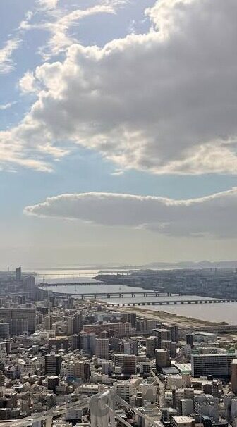 三级理论中文字幕在线播放-探索三级理论中文字幕的在线播放，文化交流与理解的桥梁