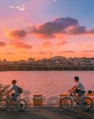 糖心直播app绿色-绿色心动的体验 —— 糖心直播APP的纯净与活力